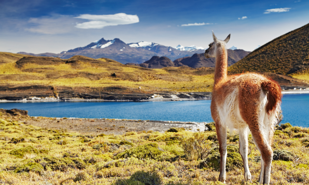 Hualpén: Naturaleza Urbana